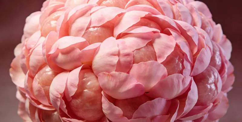 淮南BRCA1/2乳腺癌卵巢癌基因检测图片1