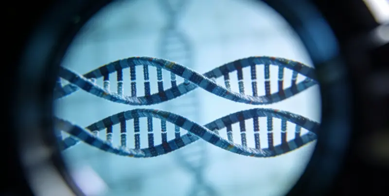 司法亲子鉴定2人图4